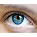 Стволовые клетки восстанавливают зрение